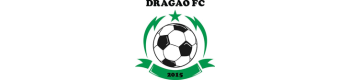 DRAGAO-FOOTBALL-CLUB logo