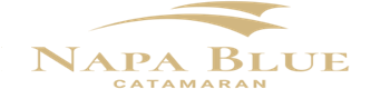 CATAMARAN-CRUISES logo