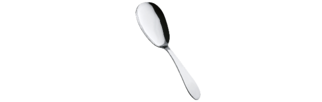 RICE SPOON BUFFET STAINLESS STEEL - S11010524