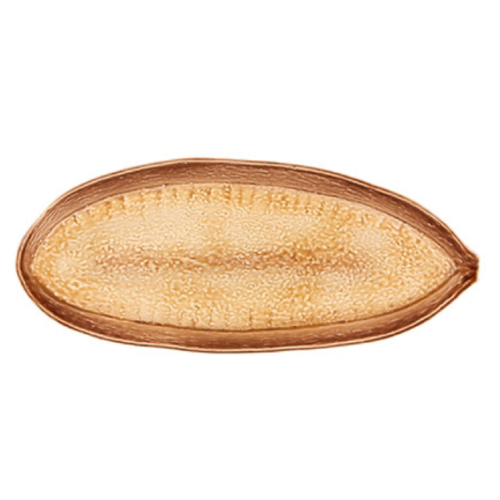 OVAL PLATTER "AMAZONIA" L:43 CM - V0265026303